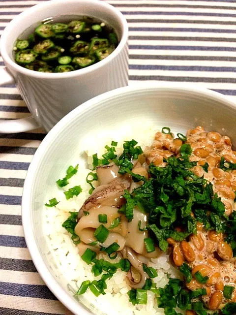 Snapdishの料理写真:納豆と自家製塩辛のっけご飯、オクラと海苔とショウガのスープ|カザラさん