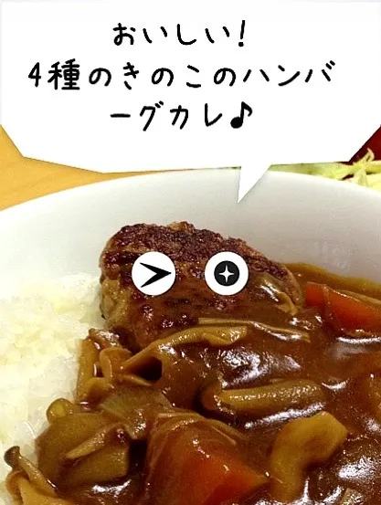 ハンバーグカレー|みどりさん