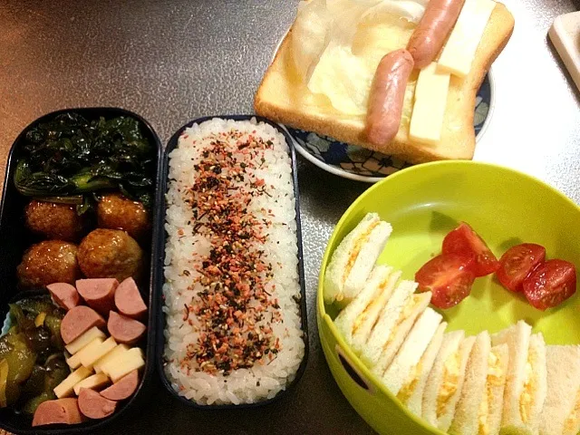 お弁当、たまごサンド、ミニトマト、トースト|たびもかさん