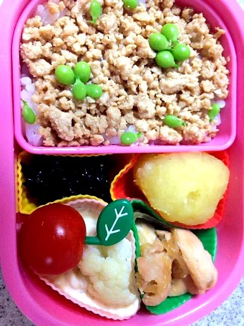 幼稚園お弁当 4/9⁂鶏そぼろ弁当⁂|5児のママさん