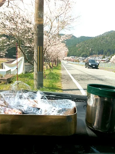 桜並木でおにぎりです‼|Yoshinobu Nakagawaさん