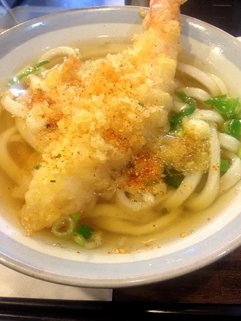 大エビ天うどん。*\(^o^)/*|こいこさん