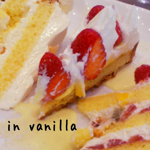 in vanilla|くりすさん