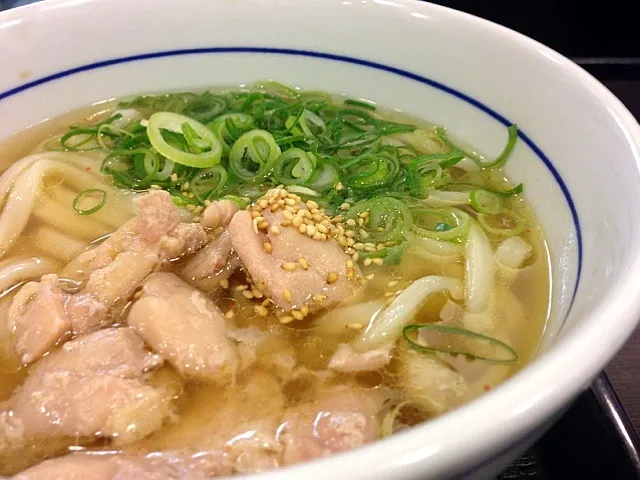 なか卯の鶏塩うどぅんがうっ、美味すぎる〜〜|TOKOATSUさん