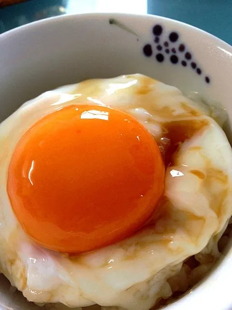 頂き物の地鶏卵で、卵丼★彡|もかもいさん