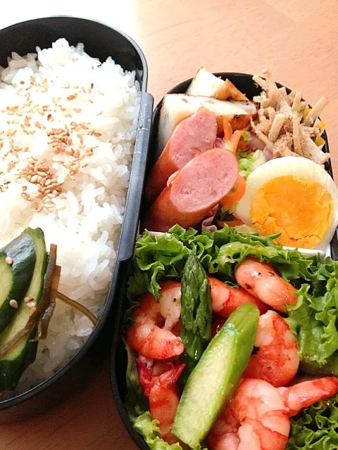 今日のパパお弁当。|江口亜梨子さん