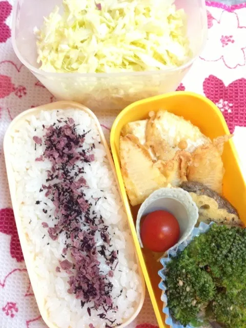 Snapdishの料理写真:4/11のベジべんとう|みーめさん