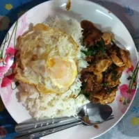 กะเพาไก่กรอบ+ไข่ดาว|panさん