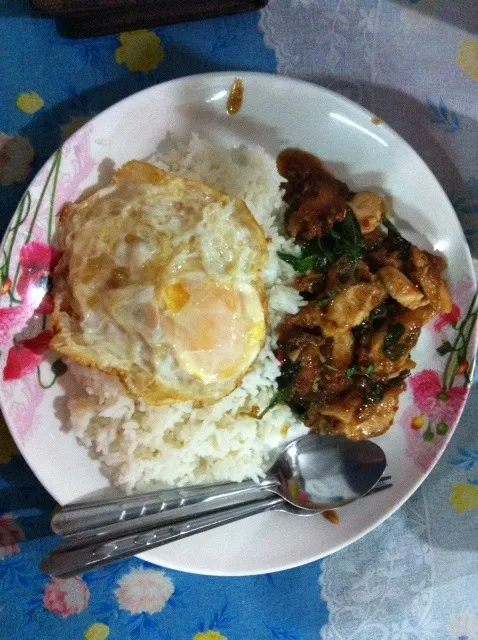 กะเพาไก่กรอบ+ไข่ดาว|panさん