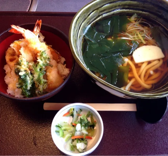 うどんとミニ天丼@かごの屋|純さん