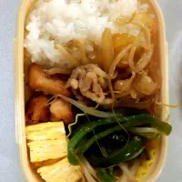 お弁当 **

♡生姜焼き
♡鶏肉とピーマンのオイスターソース炒め
♡唐揚げ
♡チーズ入り卵焼き|haru ^ ^＊さん