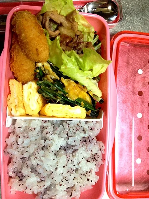 高校一年生の娘のお弁当！|まさゆうたんさん