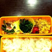 4月10日  お弁当|せーらさん