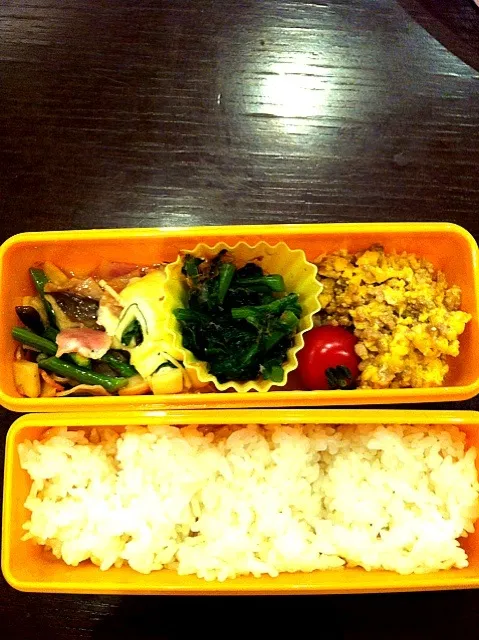 4月10日  お弁当|せーらさん