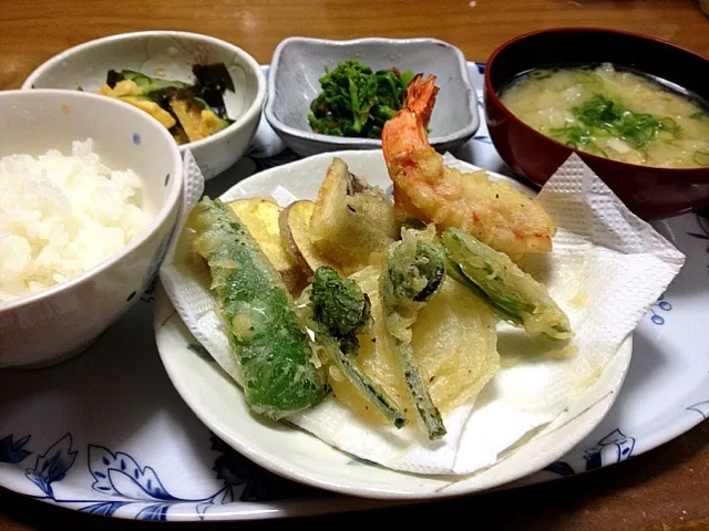 こごみの天ぷら定食|ひろりんさん