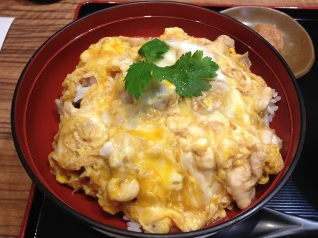 Snapdishの料理写真:名古屋コーチン親子丼|かだらにたさん