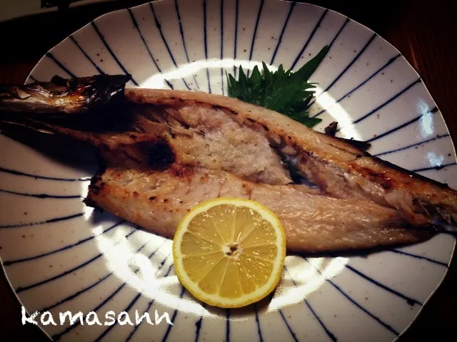 カマスの開き🐟|かまさん