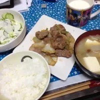 Snapdishの料理写真:豚肉と白菜の炒め物、大根とナメコとお豆腐のお味噌汁、キャベツとキュウリのサラダ|ねぇねぇさん