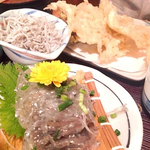 シラスづくし🐟🐟🐟|らむじーさん