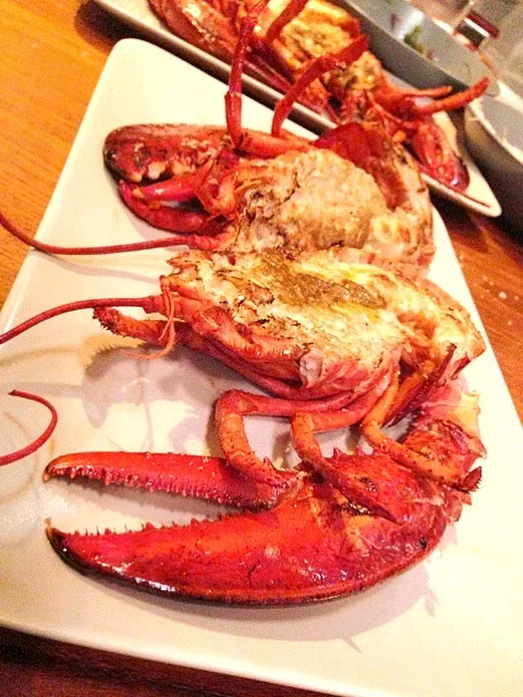 Maine lobster|willzさん