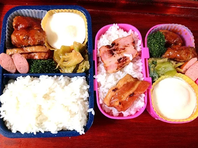 Snapdishの料理写真:通学＆パパ弁当|marinaさん