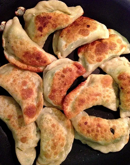 My First Homemade Gyoza|Leo D.さん