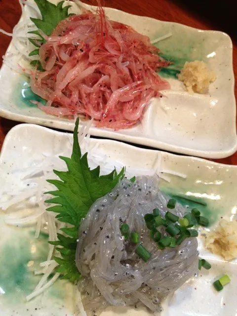 Snapdishの料理写真:静岡県産 生シラス、生桜海老|そらまめさん