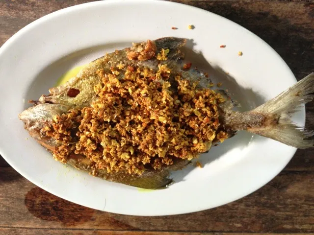 FRIED FISH WITH TURMERIC ปลาจะระเม็ดดำทอดขมิ้น (Black pomfret paradise threadfin)|longlivethethaikingさん