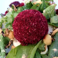 Beet root sponge, wild rice & macadamia salad, baobab yogurt