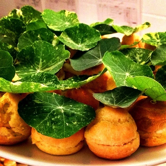 Profiteroles w/ chèvre, cajeta, spicy mustard & nasturtium|andrew franciscoさん