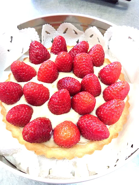 strawberrytart|Rogerinaさん