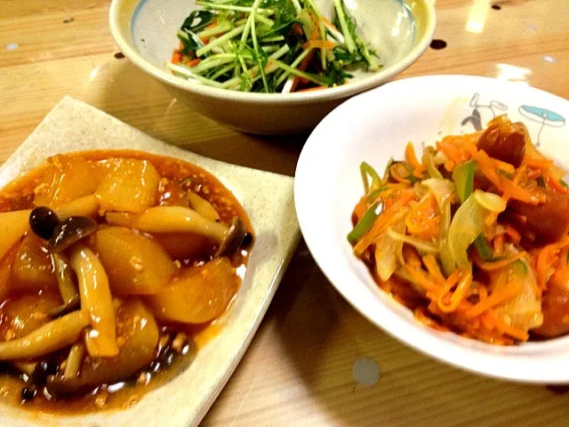 大根のトマトケチャップ煮、酢豚風野菜炒め、水菜のサラダ|ポテキさん