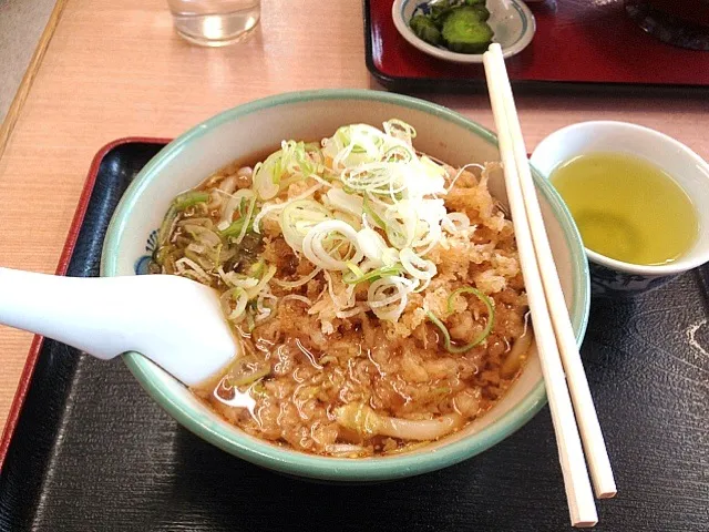 Snapdishの料理写真:しらすのかき揚げうどん|midnさん