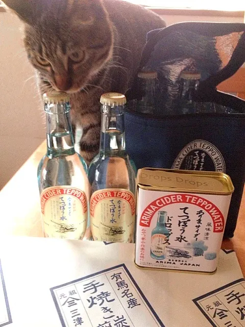 Snapdishの料理写真:俺のお土産取るなよぉー🐱|りんさん