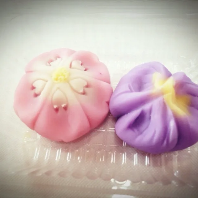 八重桜と菫の練り切り♡ 和菓子作り体験しました♪|やすこさん