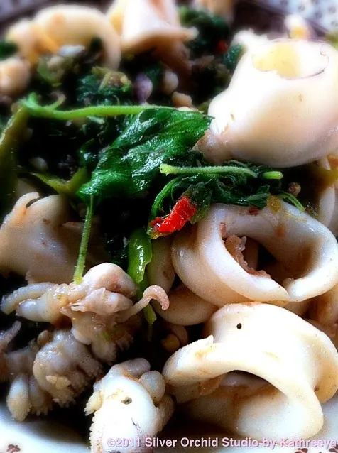 Stir fried squid with holy basil leaves|Picsy's Slaveさん