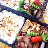 Snapdishの料理写真:13.4.15 男子高校生弁当