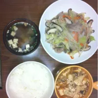 Snapdishの料理写真:野菜炒め＆麻婆豆腐|蒲森さん