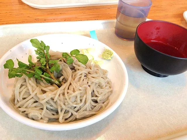 クレソンつけ麺|そるさん