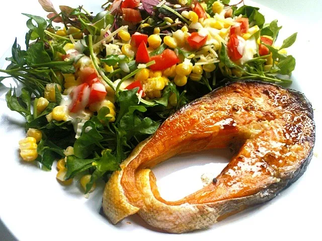 Salmon  steak and salad|oleさん