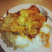 Nasi kandar #penang #nasikandar|nor zarinaさん