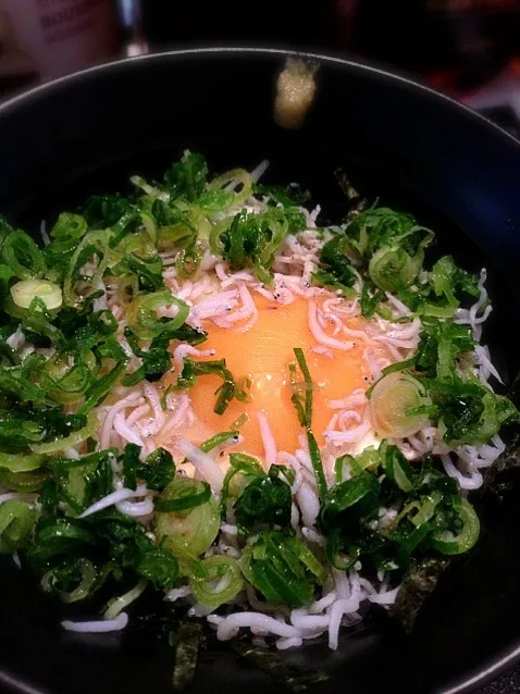 ねぎしらたま丼|たけさん