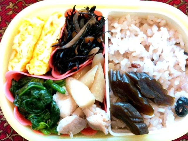 鶏肉とほうれん草とごぼうの含め煮弁当|もえさん