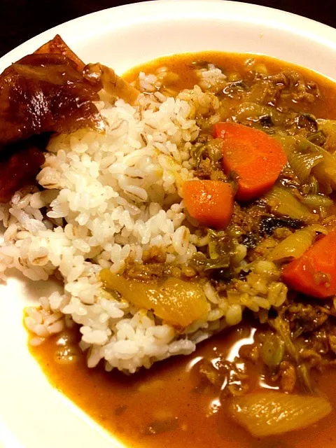 ルーも手作りカレーライス、手作り福神漬け|IGGYさん