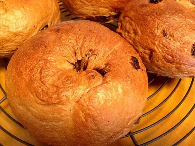 Cocoa raisin bagels :)|mさん