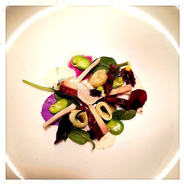 CUCUMBER. WHITE GLOBE RADISH. FAVA. BLOOD ORANGE. PANSY. SPINACH|GREG ARNOLDさん