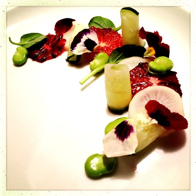 CUCUMBER. RADISH. BLOOD ORANGE. FAVA. PANSY. SPINACH|GREG ARNOLDさん