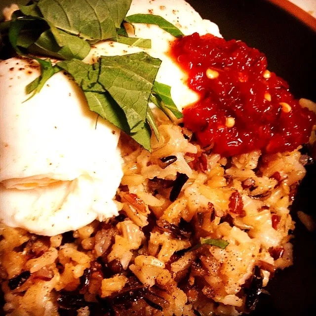 Health food (kind of), poached eggs, wild rice, torn shiso, sambal|andrew franciscoさん