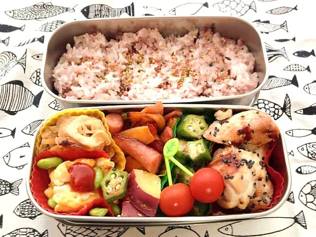 今日のお弁当☆|パピヨン☆さん