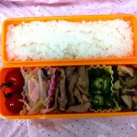 Snapdishの料理写真:4月17日  お弁当|せーらさん